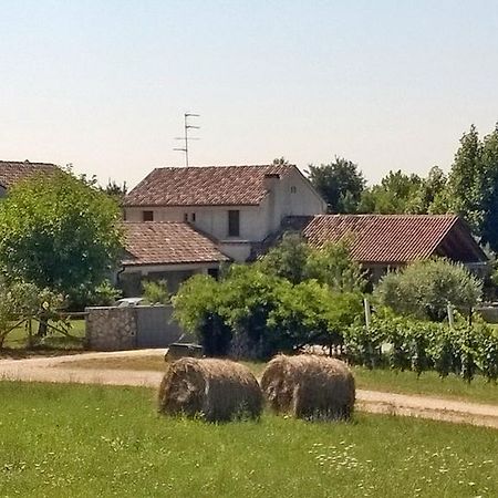 Il Giuggiolo Bed and Breakfast Conegliano Buitenkant foto