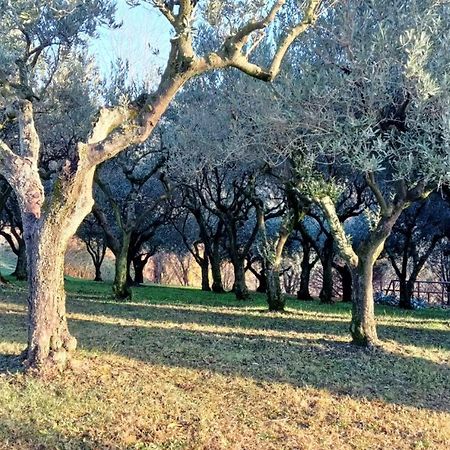 Il Giuggiolo Bed and Breakfast Conegliano Buitenkant foto