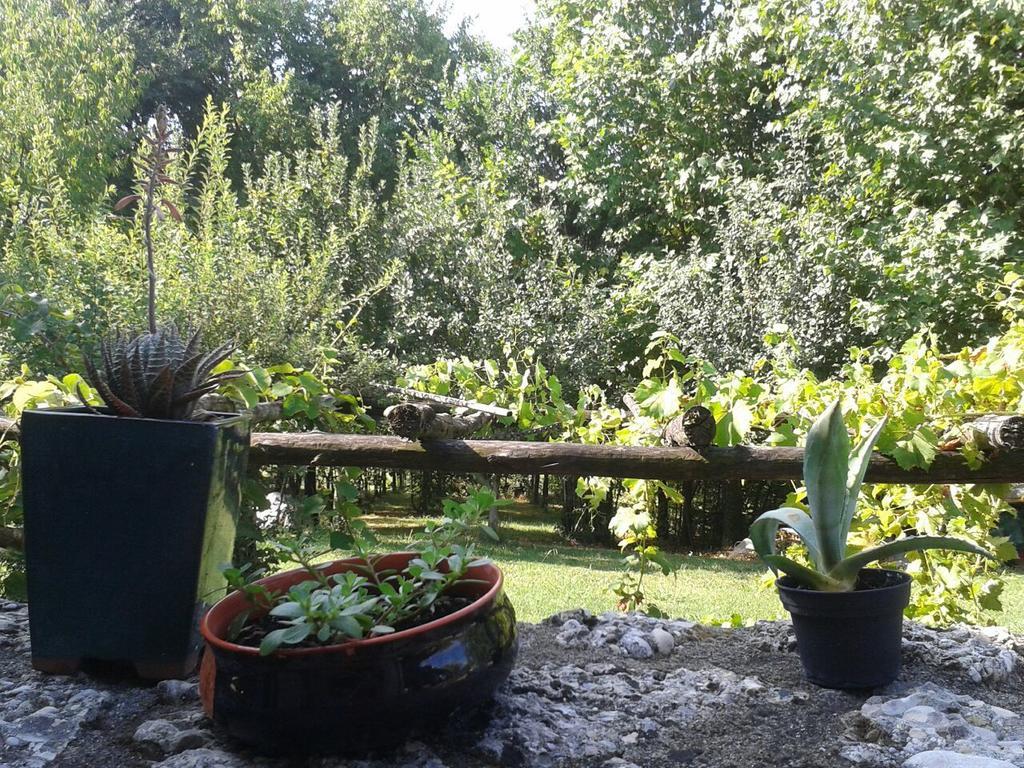 Il Giuggiolo Bed and Breakfast Conegliano Buitenkant foto
