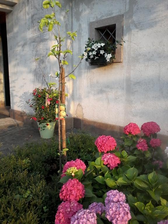 Il Giuggiolo Bed and Breakfast Conegliano Buitenkant foto