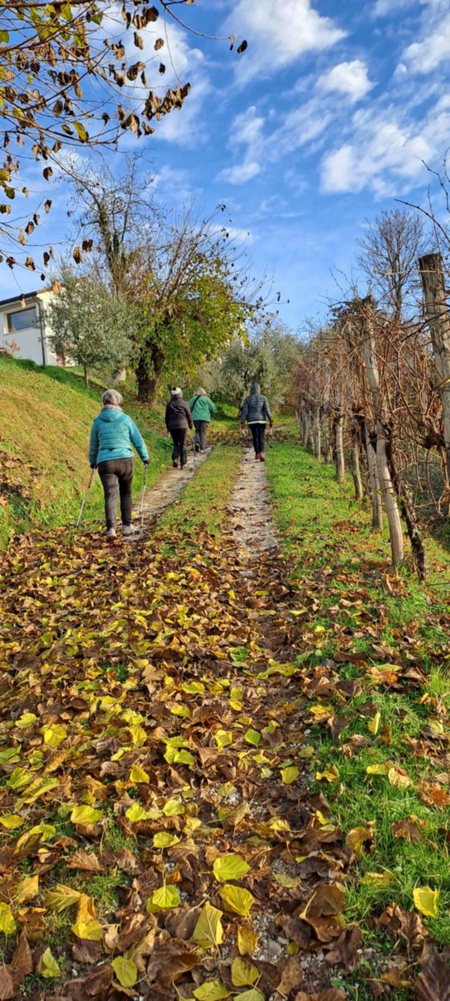 Il Giuggiolo Bed and Breakfast Conegliano Buitenkant foto