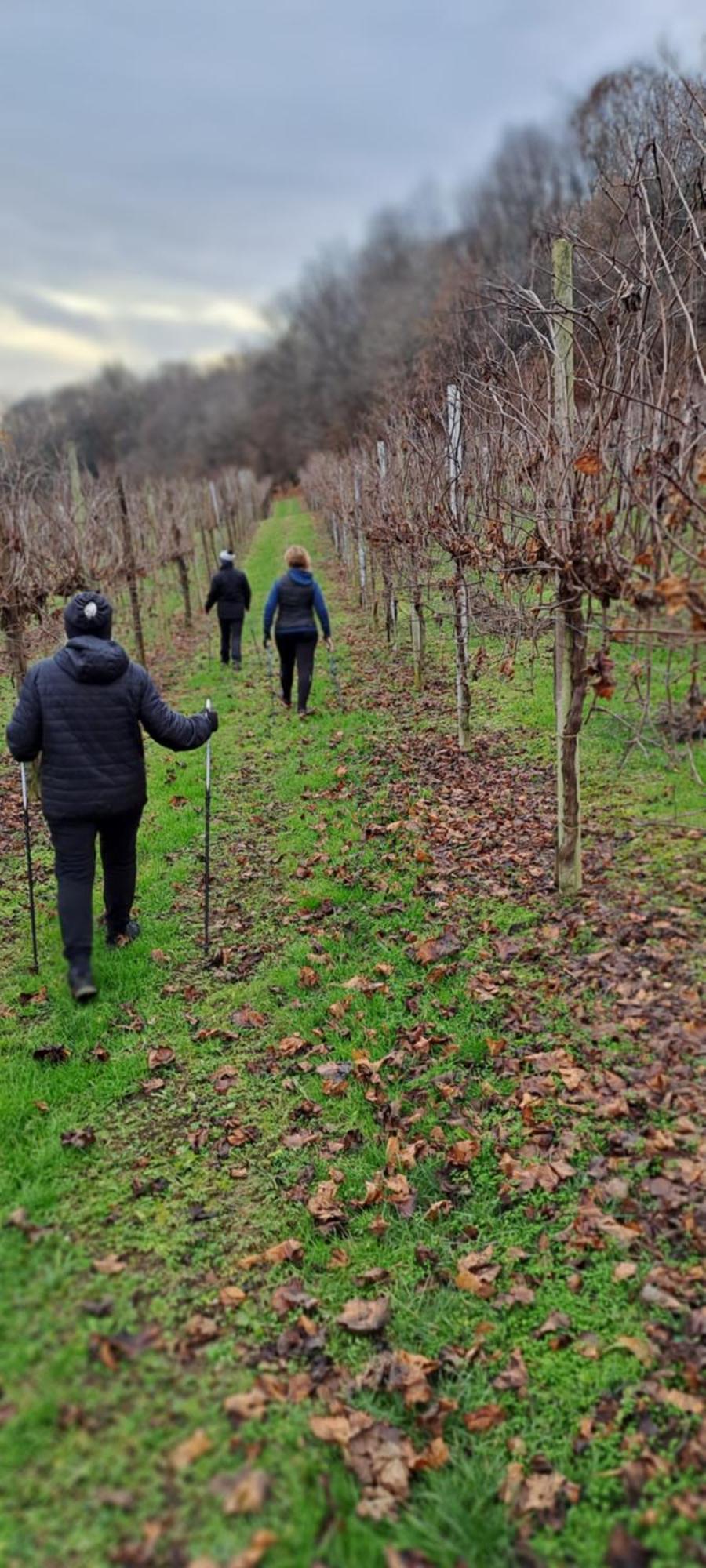 Il Giuggiolo Bed and Breakfast Conegliano Buitenkant foto