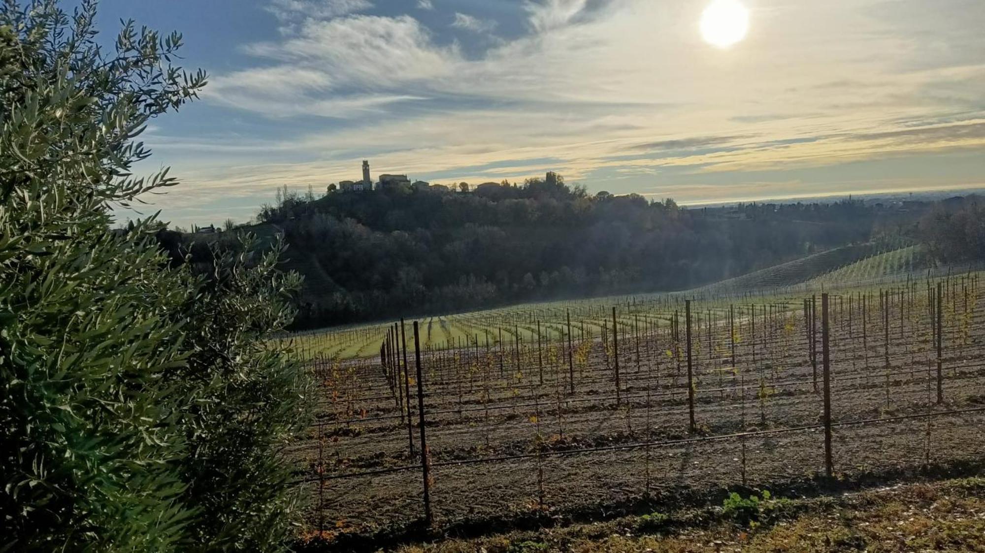 Il Giuggiolo Bed and Breakfast Conegliano Buitenkant foto