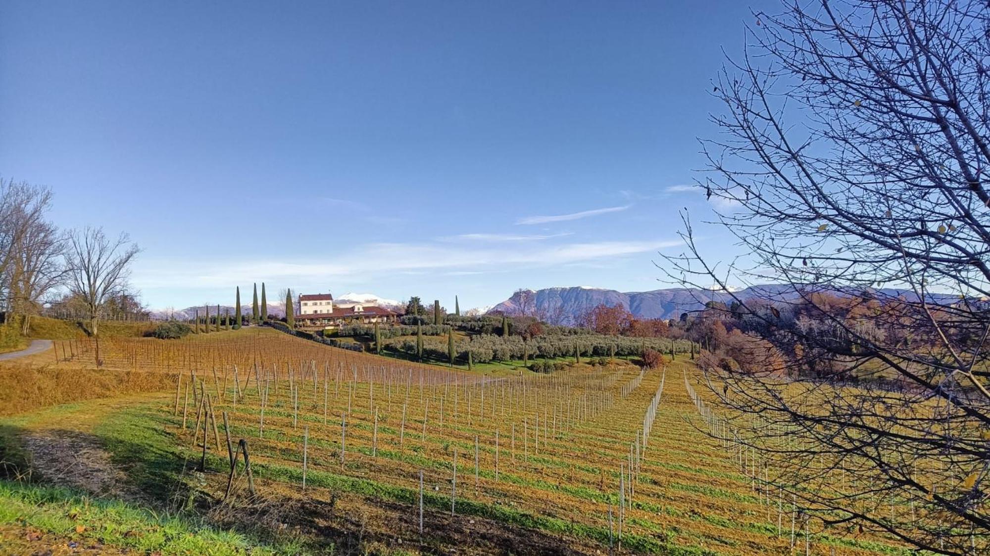 Il Giuggiolo Bed and Breakfast Conegliano Buitenkant foto