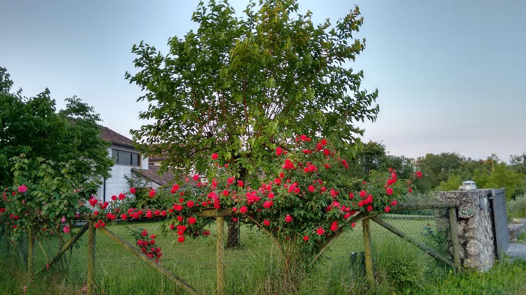 Il Giuggiolo Bed and Breakfast Conegliano Buitenkant foto