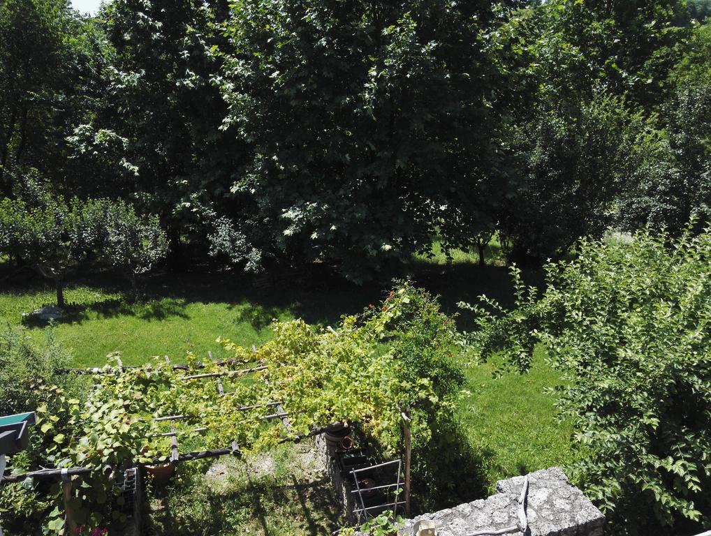 Il Giuggiolo Bed and Breakfast Conegliano Buitenkant foto