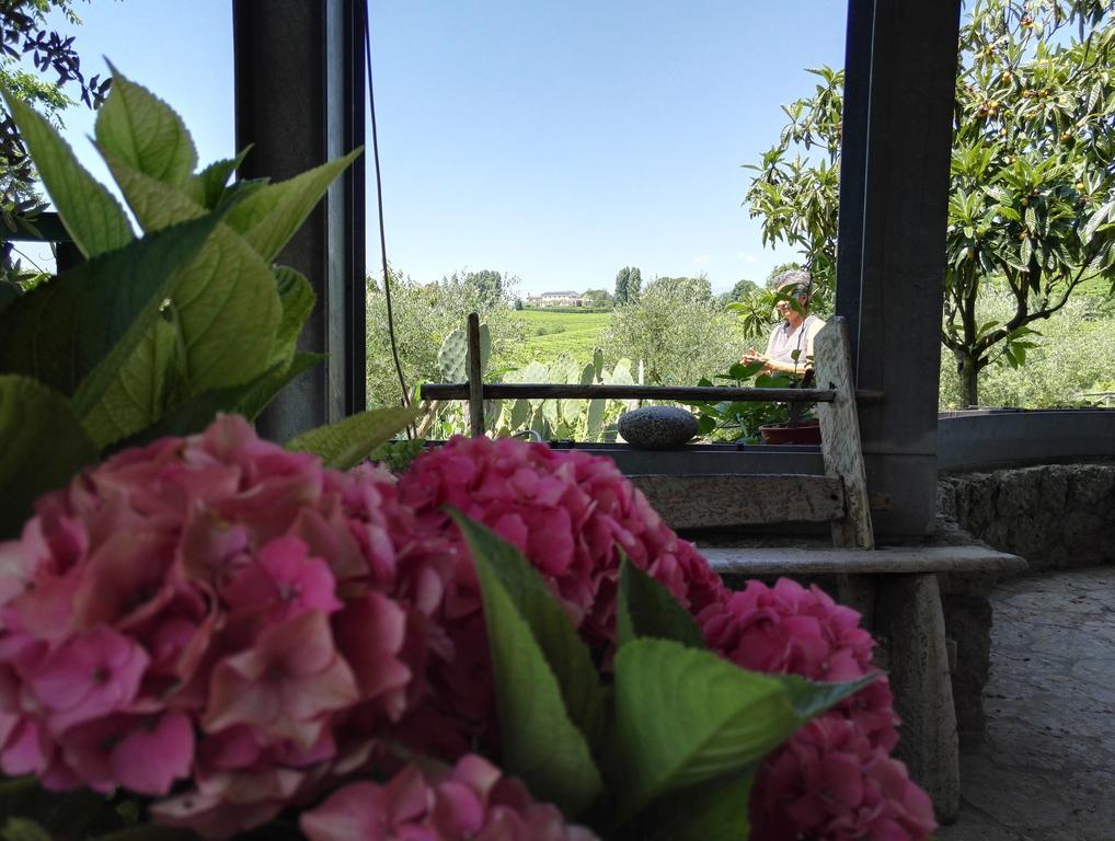 Il Giuggiolo Bed and Breakfast Conegliano Buitenkant foto