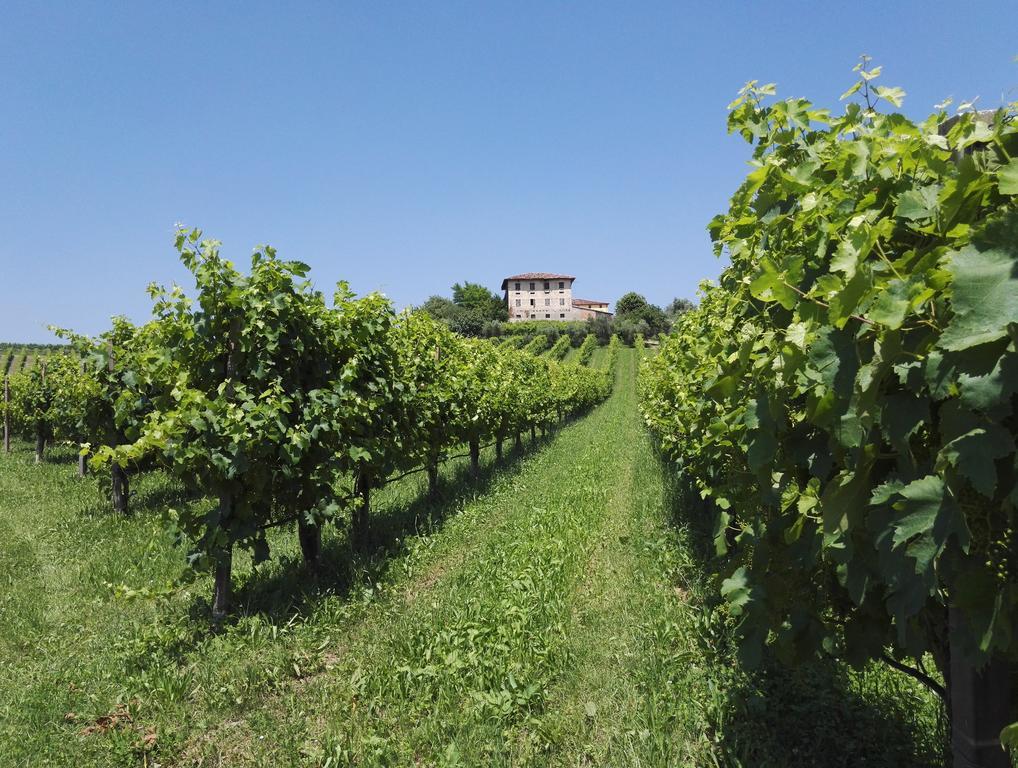 Il Giuggiolo Bed and Breakfast Conegliano Buitenkant foto