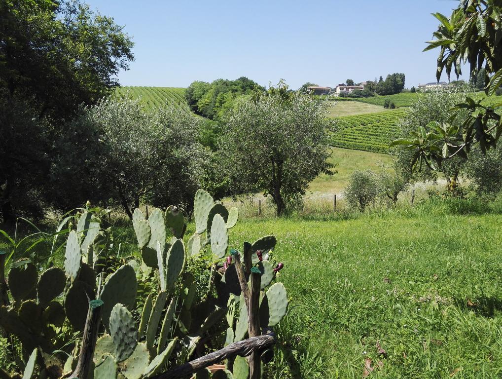 Il Giuggiolo Bed and Breakfast Conegliano Buitenkant foto